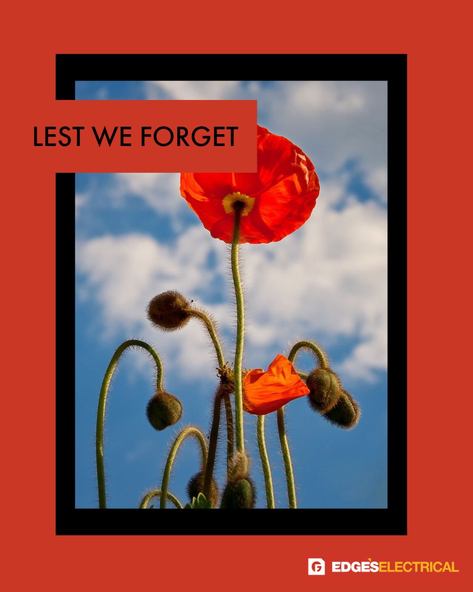 EdgesElectrical's tweet image. On the eleventh hour on the eleventh day of the eleventh month, we will be joining the nation in a two-minute silence to honour those who have fallen 🌹

#armisticeday