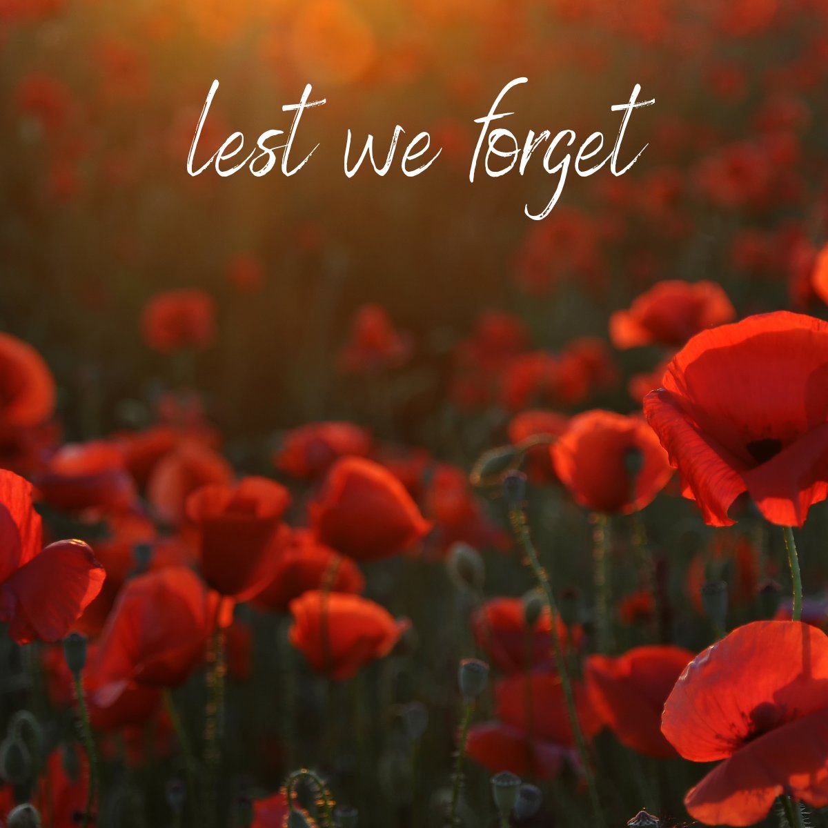 IPS Group Limited tweet media