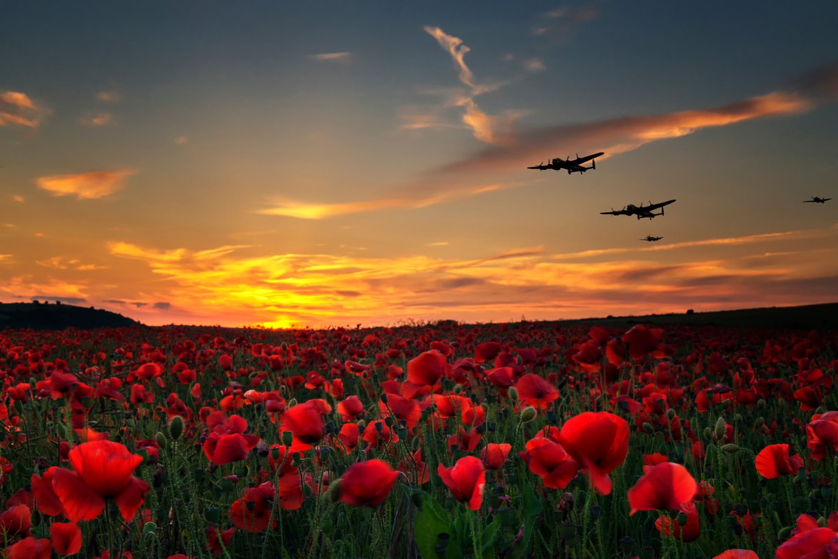 sakersolutions's tweet photo. #lestweforget https://t.co/I2NrlPdmpZ