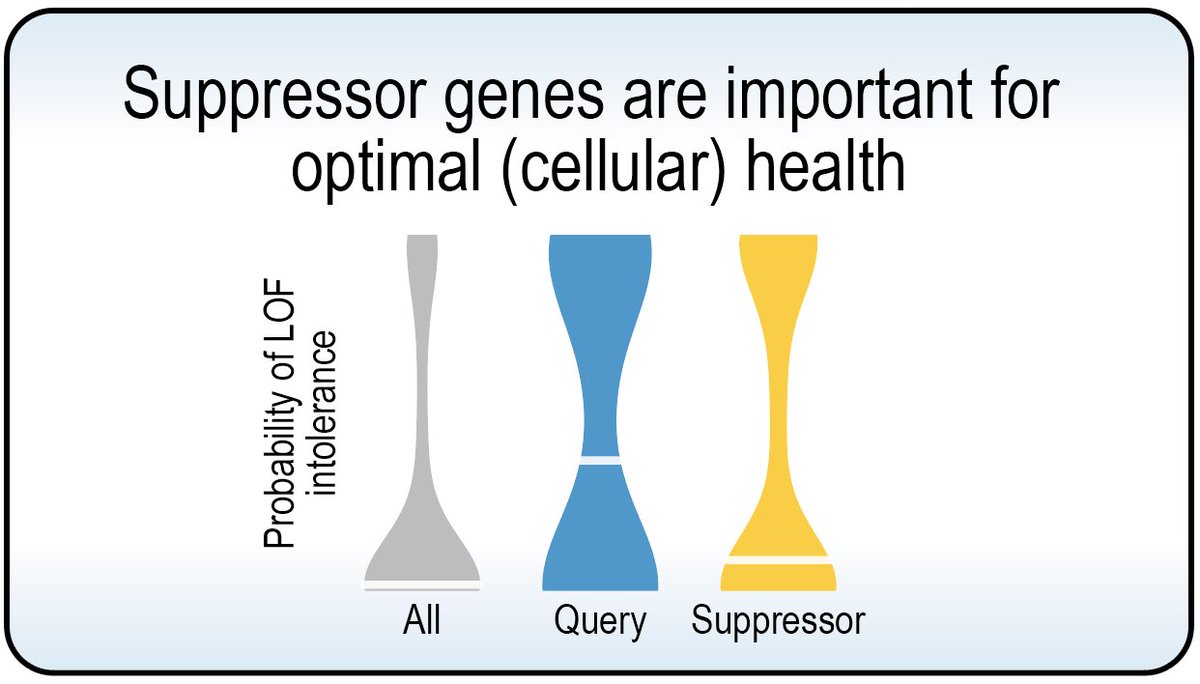Jolanda van Leeuwen tweet media