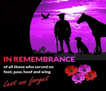 At the going down of the sun and the morning we will remember them. Less we forget.
 #lessweforget #remeranceday #specialeducation