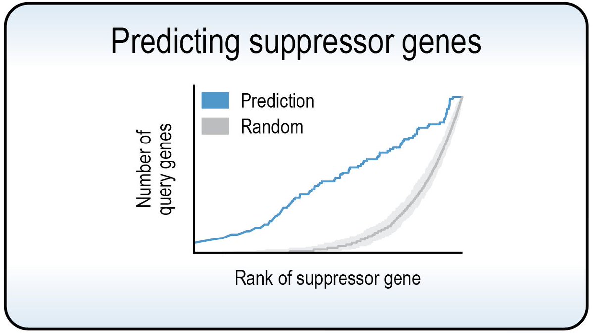 Jolanda van Leeuwen tweet media