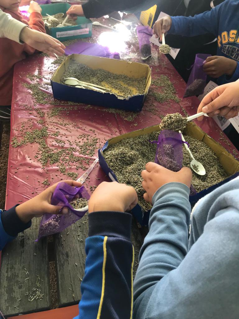 Confraria Ratafia tweet media