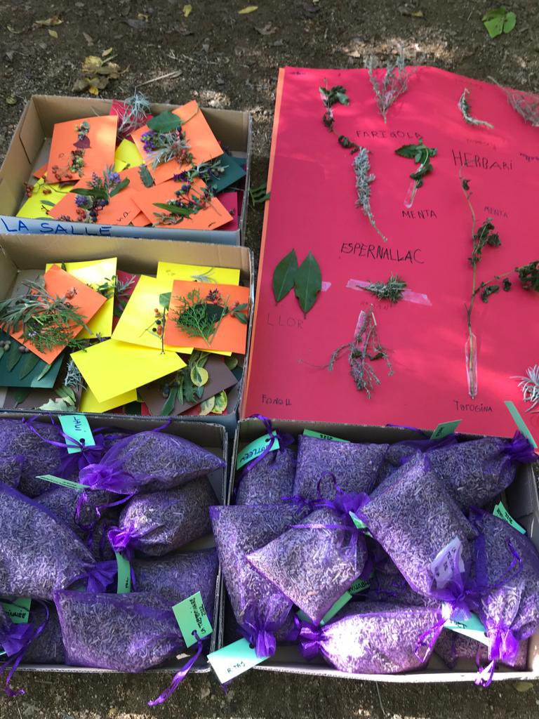 Confraria Ratafia tweet media