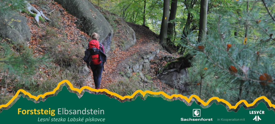 Kennt ihr schon den "Forststeig Elbsandstein"? Das ist die grenzüberschreitende und siedlungsferne Trekkingroute über 100 km unseres Partners Sachsenforst. Alle Informationen rund um Strecke, Biwakplätze, Camping und Trekkinghütten findet ihr unter forststeig.sachsen.de.