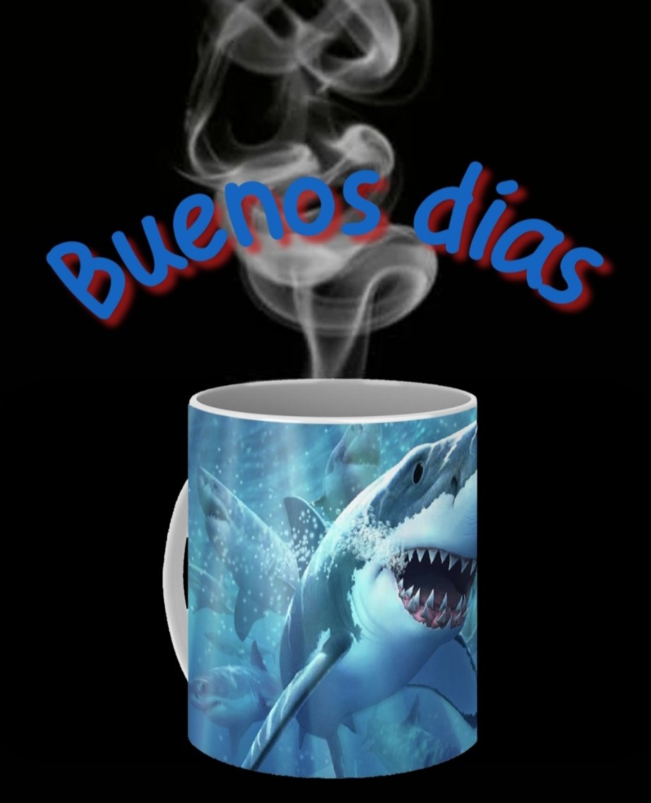 wolfanglopez's tweet photo. @tiburones_net https://t.co/7FEB0EZjTe