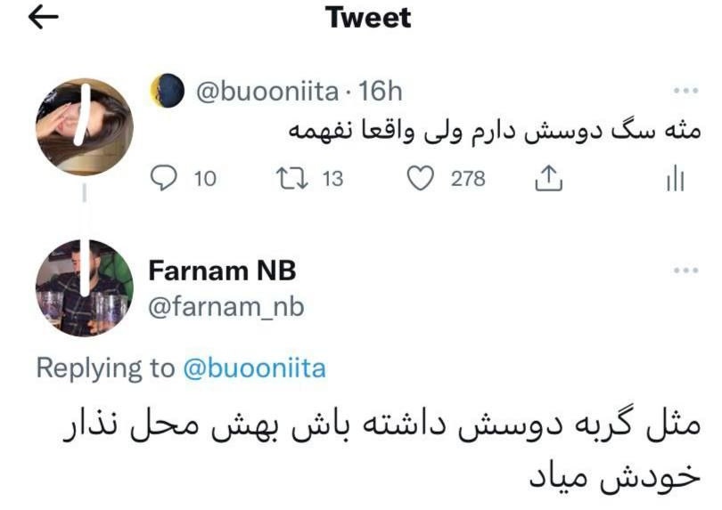hesabdar_'s tweet photo. با اختلاف  بهترین جواب بود ... https://t.co/4j4Y9EcVtU