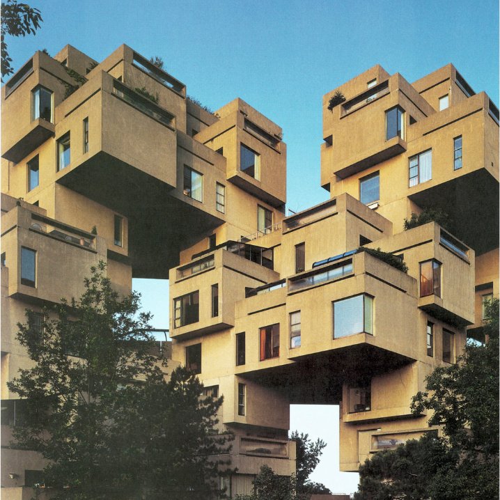 Scaffold_Podcast tweet media