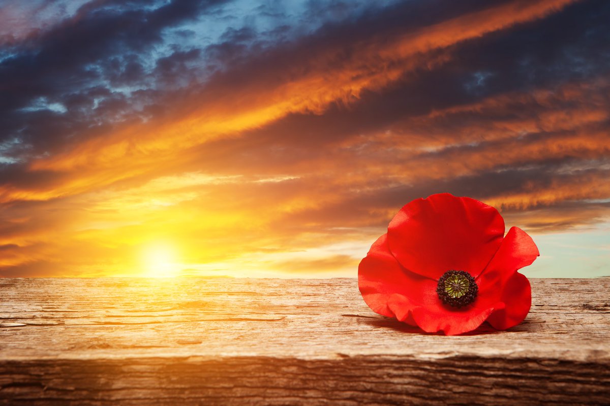 “They shall grow not old, as we that are left grow old. Age shall not weary them, nor the years condemn. At the going down of the sun and in the morning, we will remember them.” 
#LestWeForget #RemembranceDay