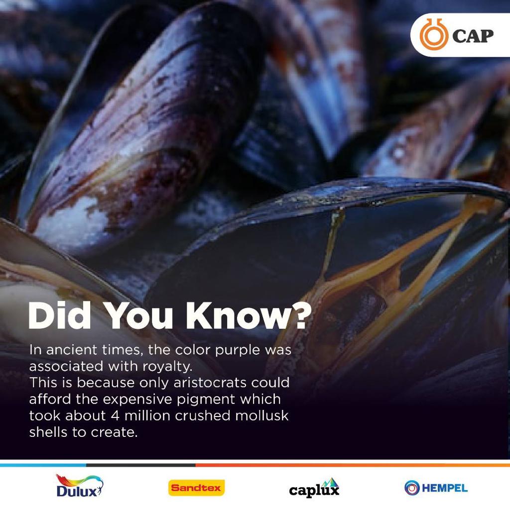 Did you know ?

In the ancient times only the aristocrats could afford paint in the color purple due to expensive materials used in it's formulation .

Now In 2022, you can tint any  shade of the  color purple  instore at our color centres 

#funfriday 
#Capplc