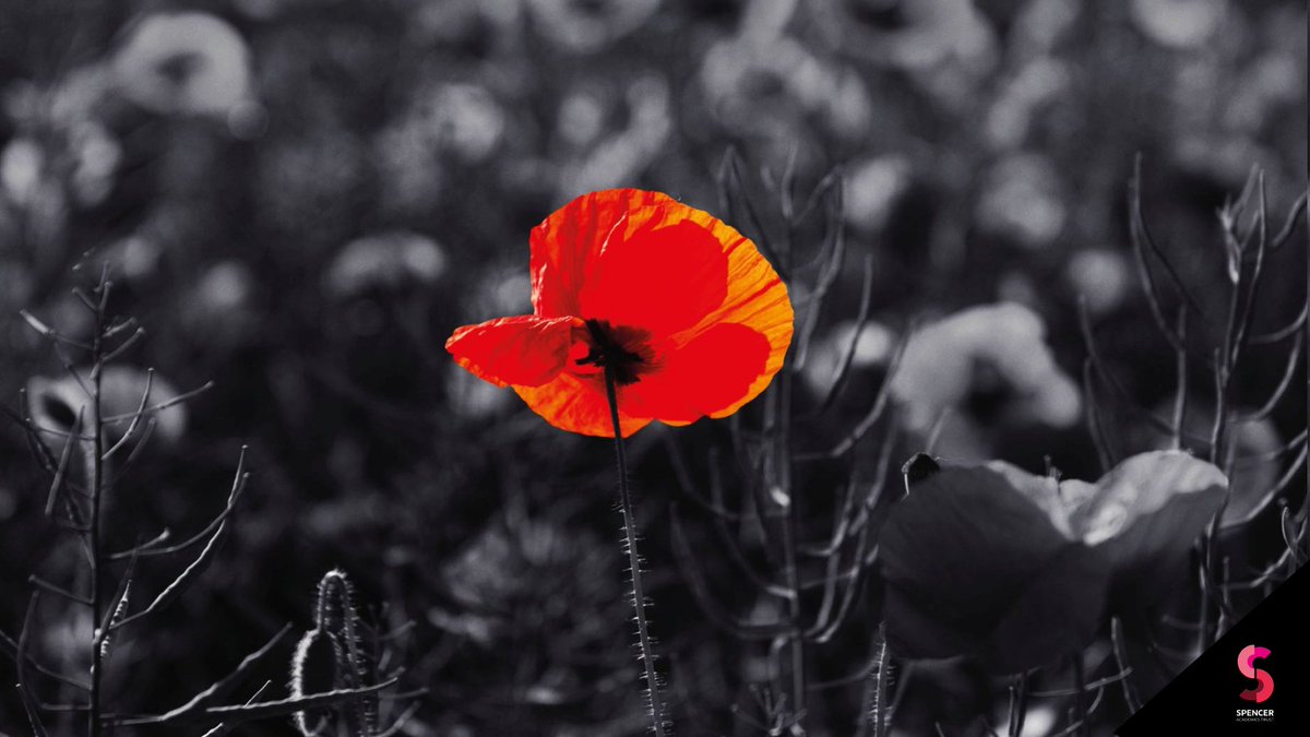 We will always remember them

#LestWeForget #RemembranceDay