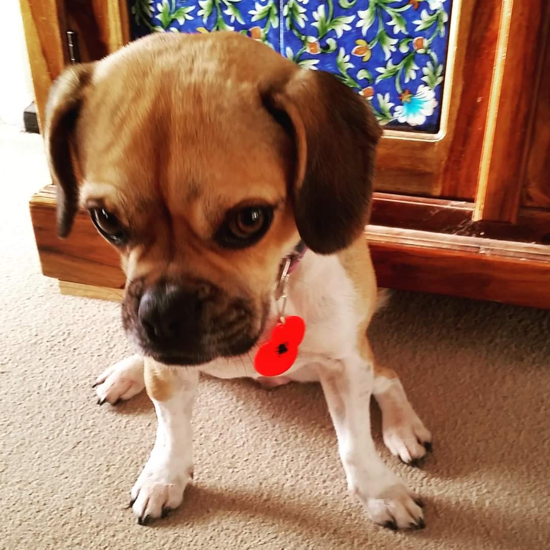 Grippy Leads tweet media