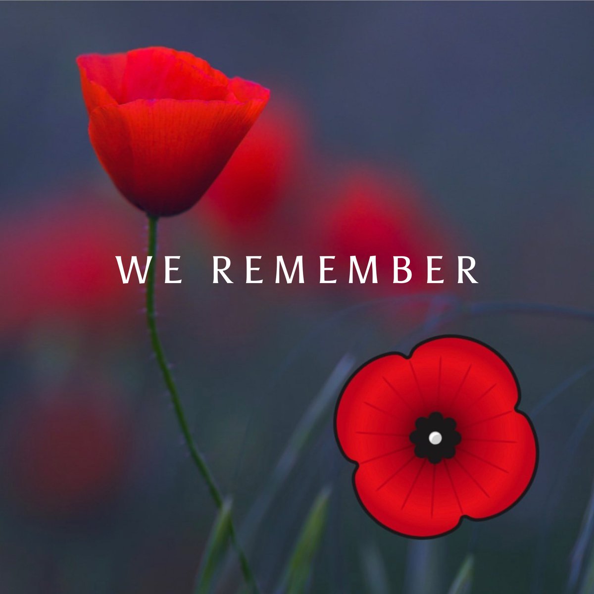 TLSForensic's tweet image. 