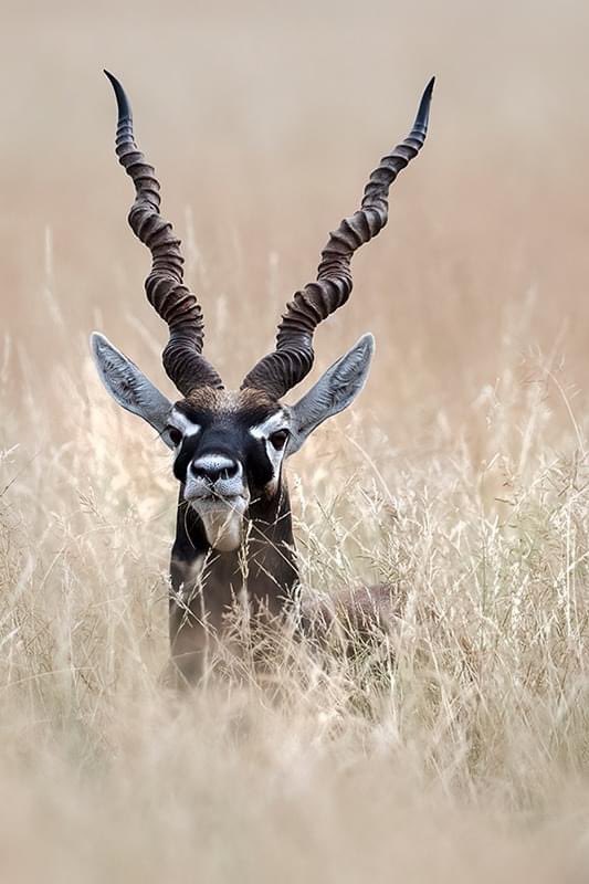 𝐌𝐨𝐨𝐝𝐚𝐚𝐥𝐞 𝐌𝐞𝐝𝐢𝐚 𝐆𝐫𝐨𝐮𝐩 (@moodaale) on Twitter photo 