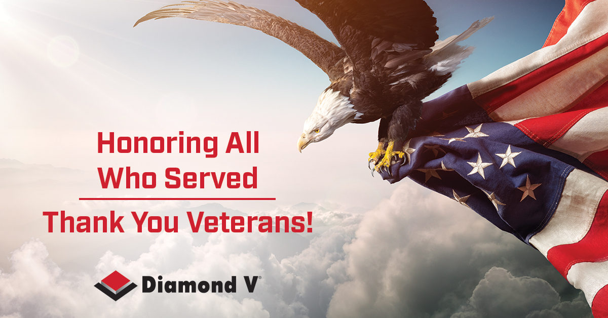 Diamond V tweet media