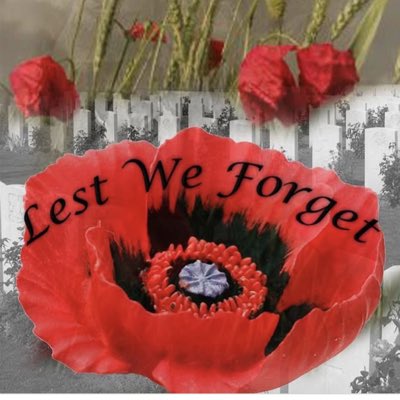 Thank you to everyone who fought and continue to fight   #RemembranceDay #LestWeForget