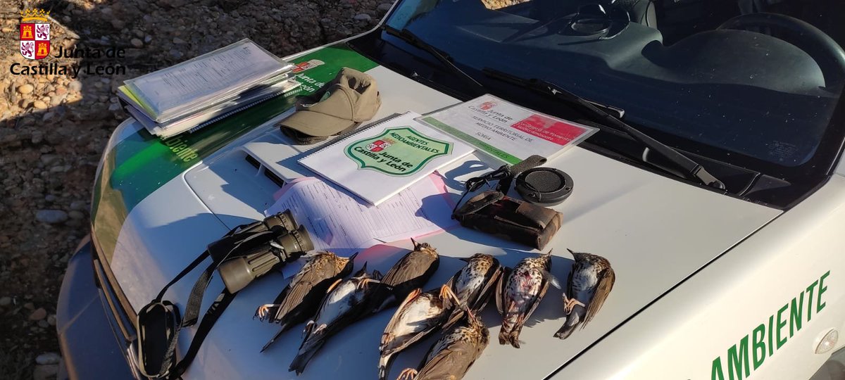 naturalezacyl's tweet photo. Los #AAMM de @jcyl realizan controles de #caza en puestos tradicionales de paso de zorzales

Ayer se detectó uso ilícito de reclamos electrónicos y escopetas de más de tres cartuchos en la comarca de Almazán, #Soria https://t.co/OVG1LA0fCp
