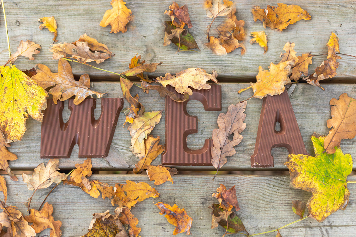 Het kabinet wil de werkgeverslasten van bedrijven verlagen en een extra impuls geven om te blijven investeren. Hiervoor trekt het kabinet voor de jaren 2023 tot en met 2027 € 500 miljoen (per jaar) extra uit voor lastenverlichting voor het mkb.
weazeeland.nl/wea-zeeland/ac…