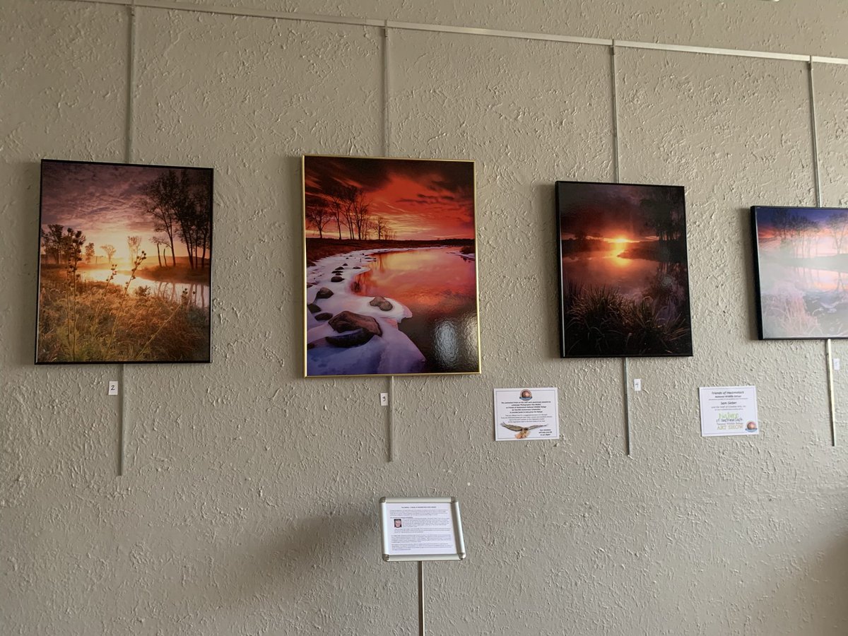 FriendsHackNWR's tweet photo. The Nature of Hackmatack Art Show is open through November 17. Stop by Friday Nov 11 5-8 pm for the Community &amp; Artists Reception. Your chance to meet the artists! Or visit weekdays 9-5. https://t.co/yVcX2rODd9