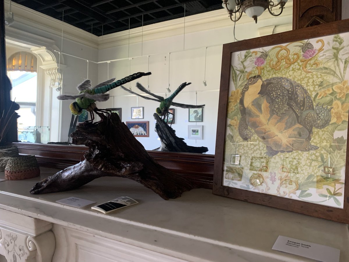 The Nature of Hackmatack Art Show is open through November 17. Stop by Friday Nov 11 5-8 pm for the Community &amp; Artists Reception. Your chance to meet the artists! Or visit weekdays 9-5.