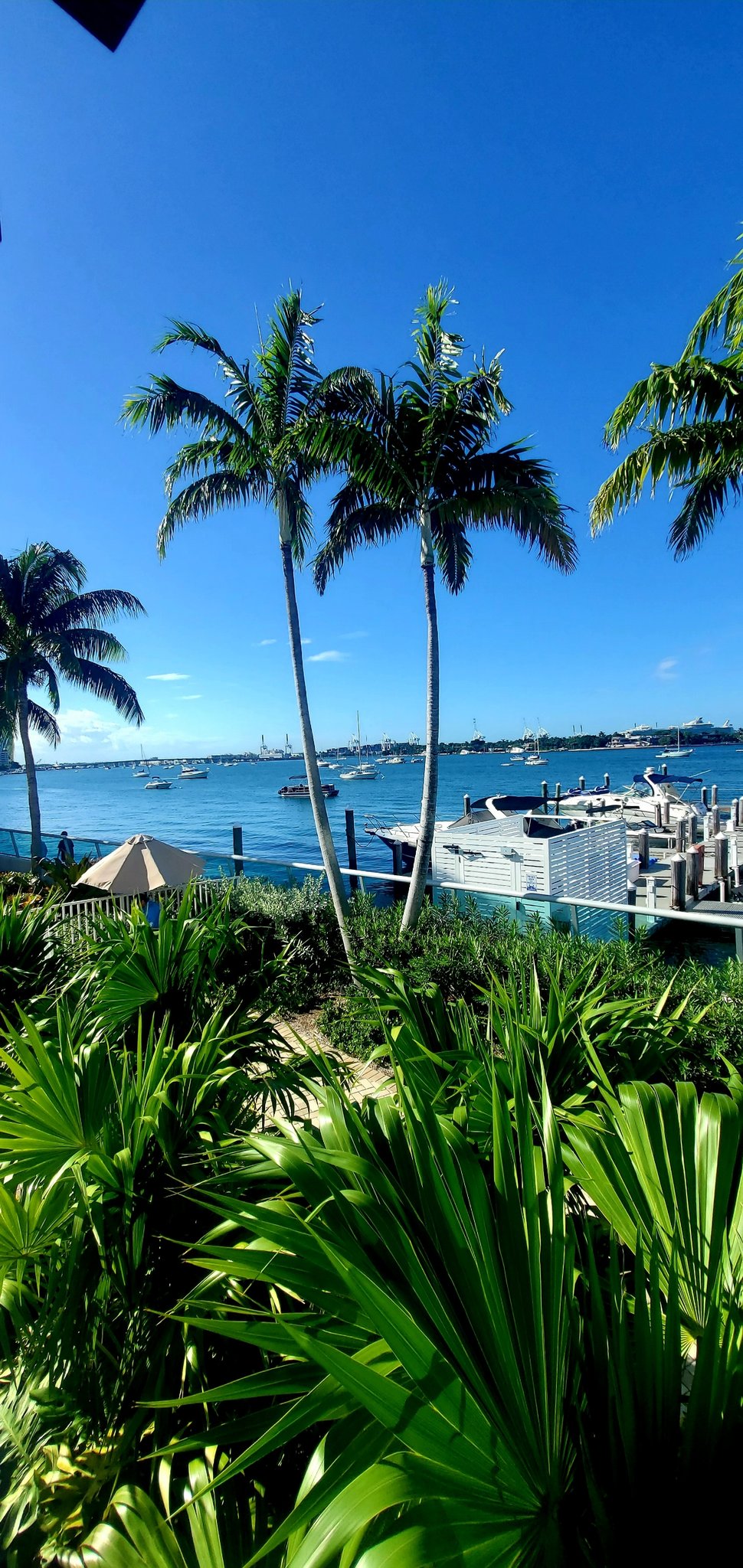 KRAVE ME MIAMI (kravememiami) / Twitter