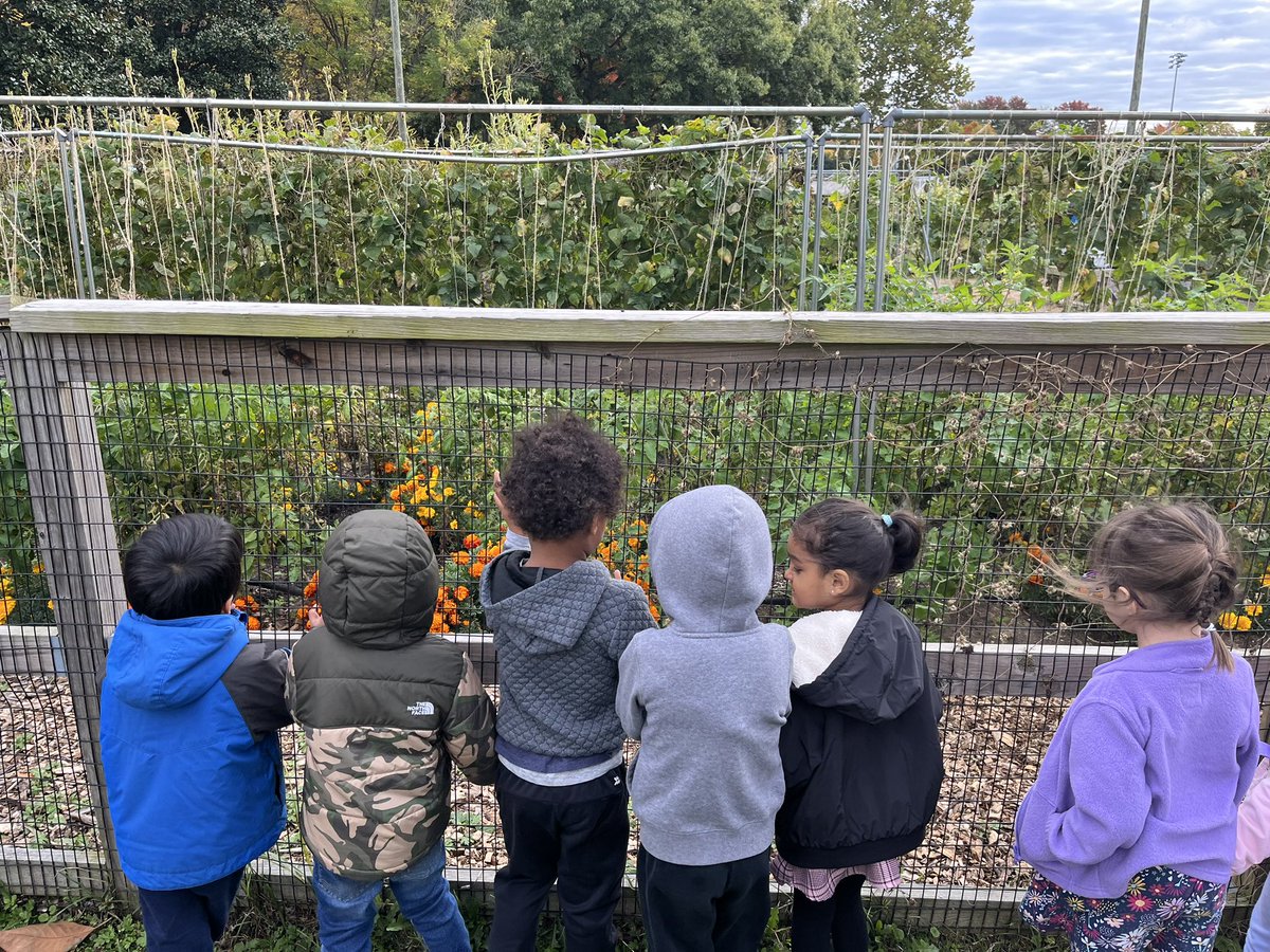 We went outside to enjoy the autumn leaves🍂🍁<a href="/APS_FleetES/">Fleet ES</a>