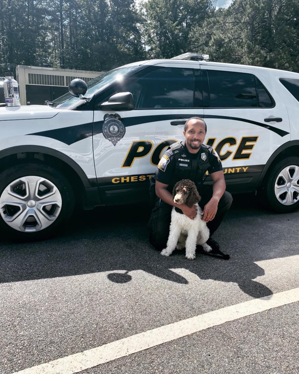 CCPDVa's tweet photo. Meet SRO Washington and his partner, K9 Magic! Magic is a five month, old standard poodle who is training to be a therapy dog. This team will be in the Chesterfield County Public Schools, helping kids through whatever may come their way. https://t.co/IOAqN3SgT8
