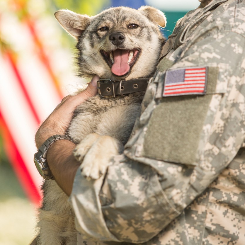 Thank you to all who serve! This #VeteransDay, we're giving a free gift to all veterans and active service members who stop by. Find your nearest store: bit.ly/3AX5VhY