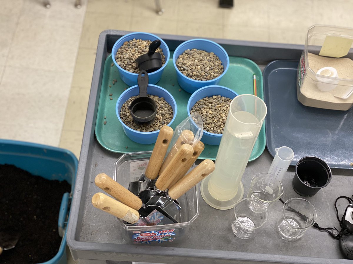 Melissa Efantis tweet media