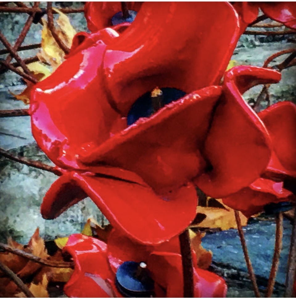 KadarTimea's tweet photo. We remember today the soldiers of WWI. Not many know that 100,000 of them were women, just from the UK!
On the photo: a ceramic poppy from Paul Cummins' installation of the Weeping Widow.
#remembranceday #poppies https://t.co/V2vQh9MHZw