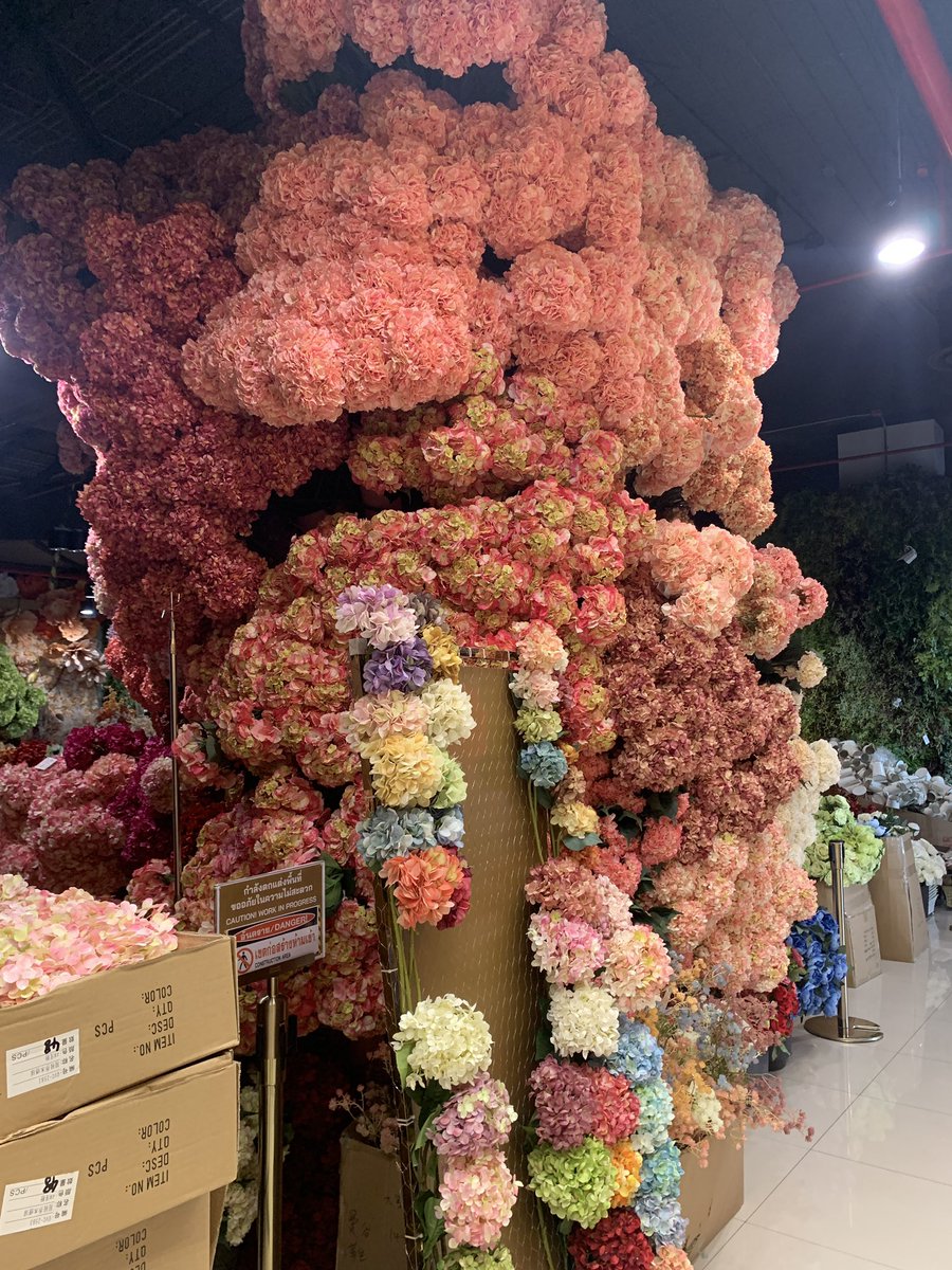 SamTouch15's tweet image. Flowers Gallery, Chaktuchak, Bangkok, Thailand