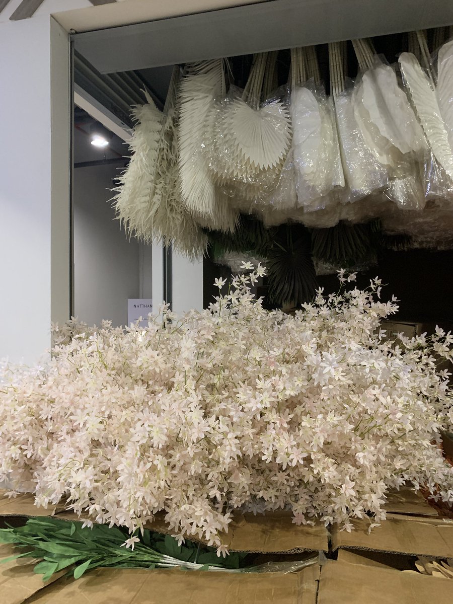 SamTouch15's tweet image. Flowers Gallery, Chaktuchak, Bangkok, Thailand