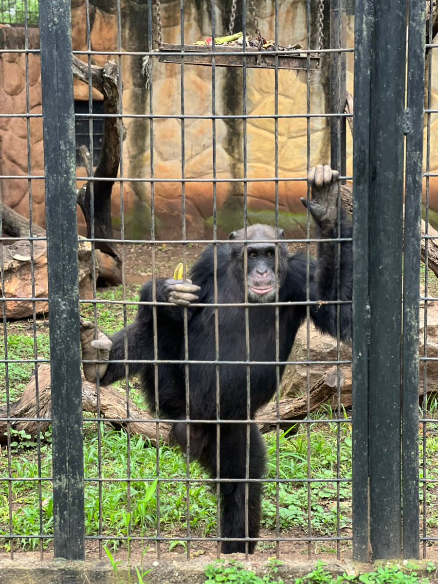 gobiernodelara tweet media