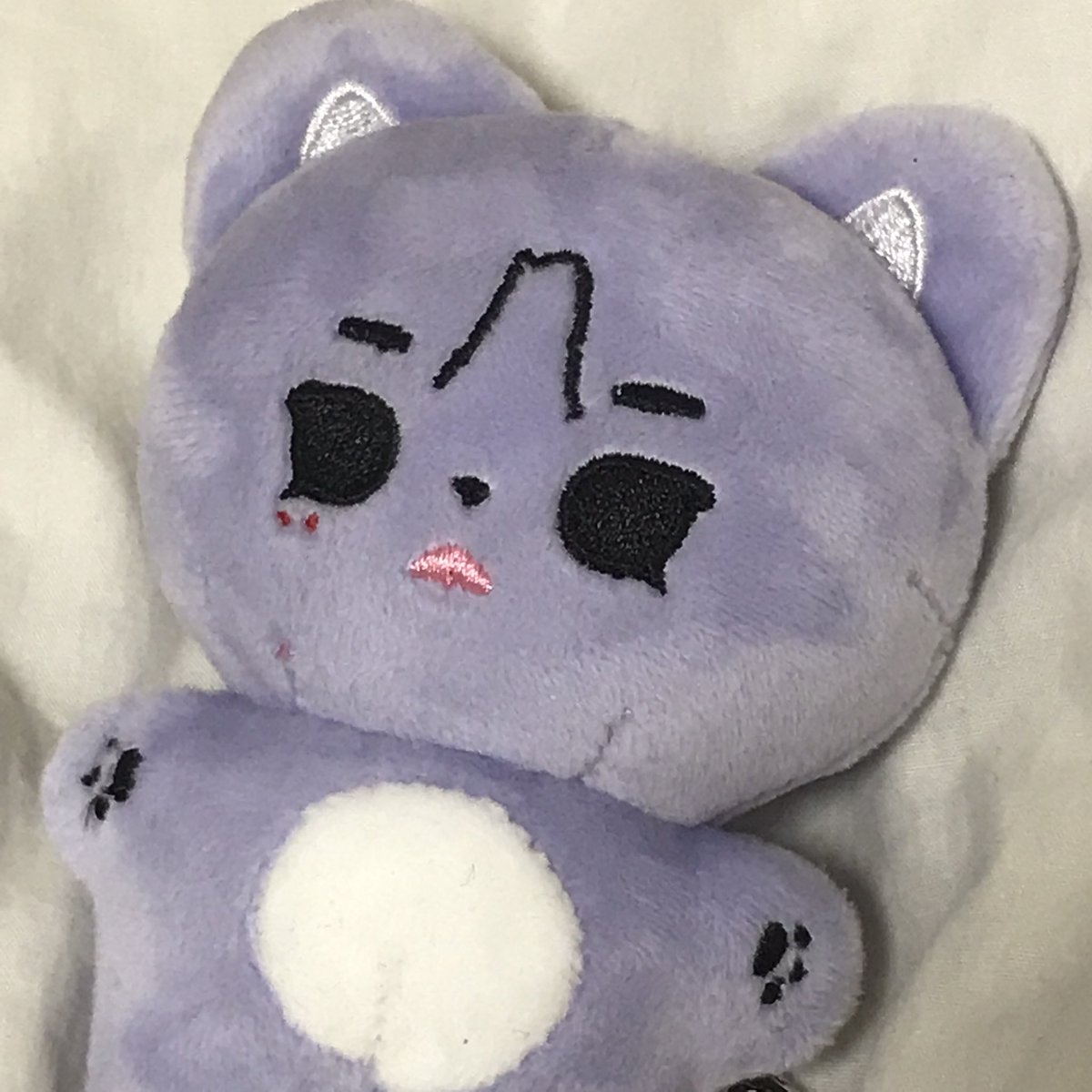 빕냥이 귀여워..