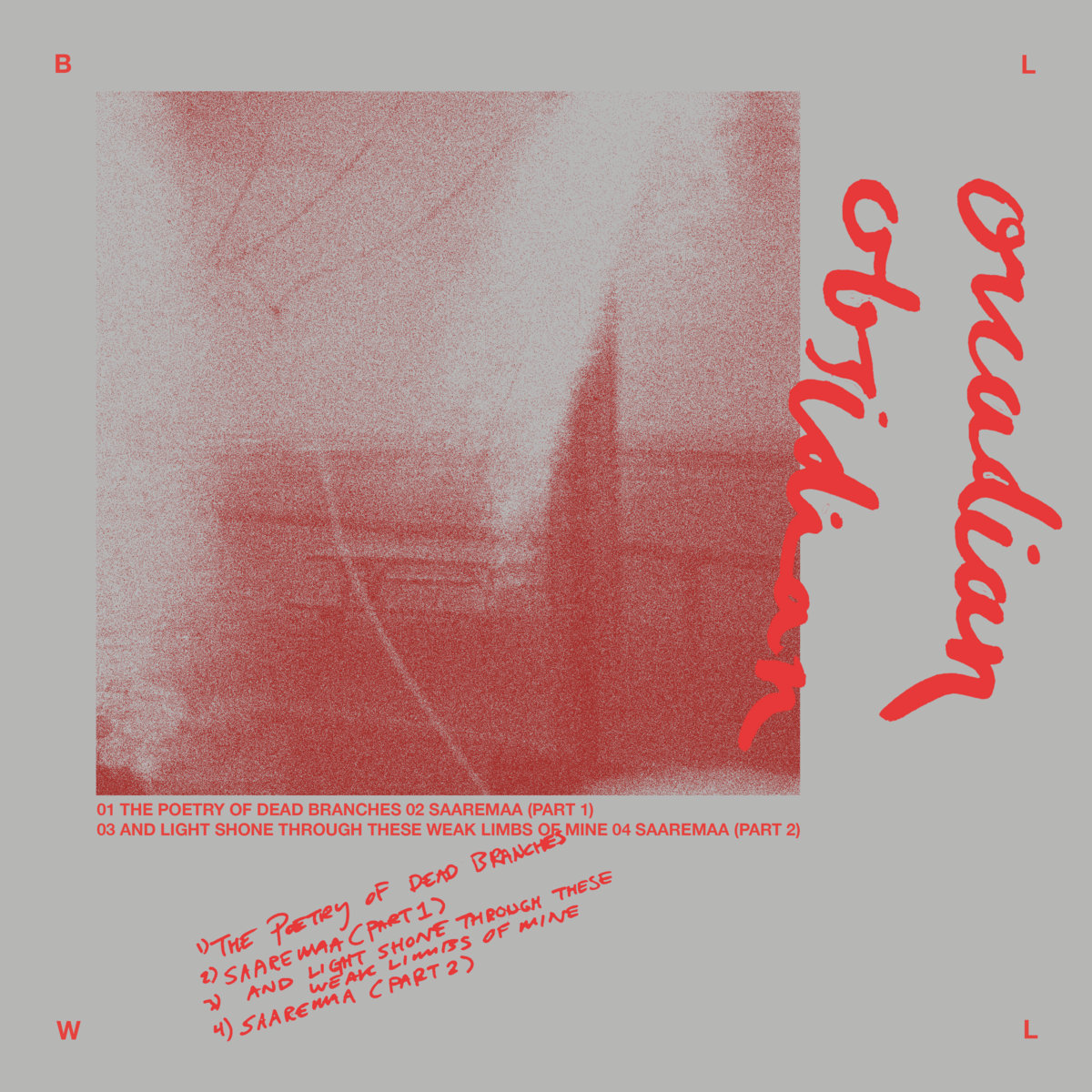 Bolywool: The Poetry Of Dead Branches
destroyexist.com/2022/11/bolywo…

#destroyexist #dreampop #shoegaze