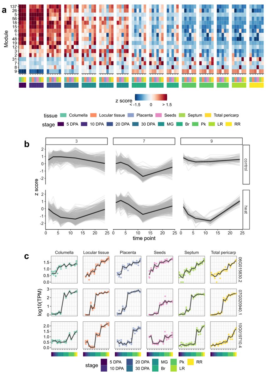 Preprint of our tidyverse+graph theory based gene coexpression analysis workflow is online! Tidyverse functions produce nodes &amp; edges, and graph based clustering (Leiden) detects tight gene coexpression modules. biorxiv.org/content/10.110… 
Tutorial: github.com/cxli233/Simple…