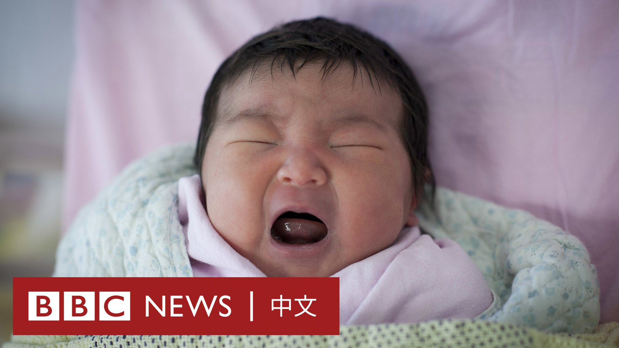 BBC News 中文 on Twitter: "联合国的数据显示，全球人口将在本月15日达到80亿，这一数字在今后几十年里将继续增长。据预计 ...