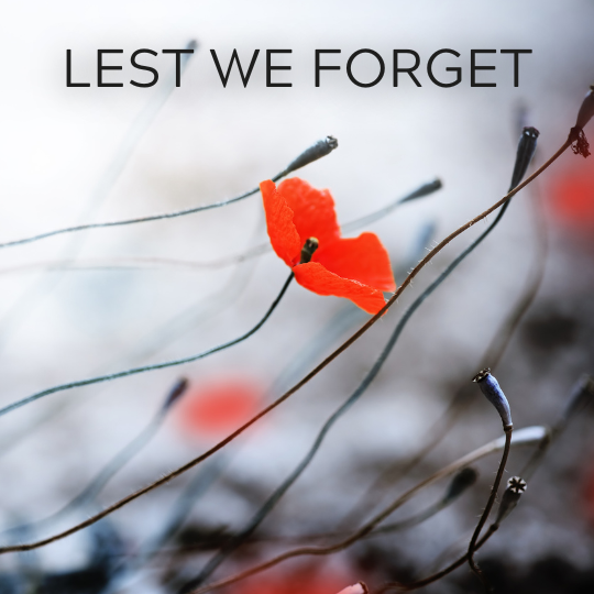 RVMedia2's tweet photo. Today, We Remember.

#LestWeForget #RemembranceDay https://t.co/dU8iAAbUMU