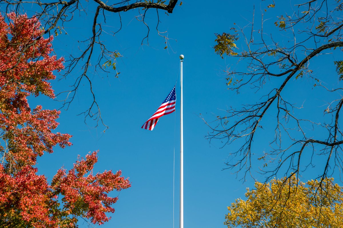 Today we give thanks for all those who have contributed several courageous years to our country. Happy Veteran's Day to all who have served!