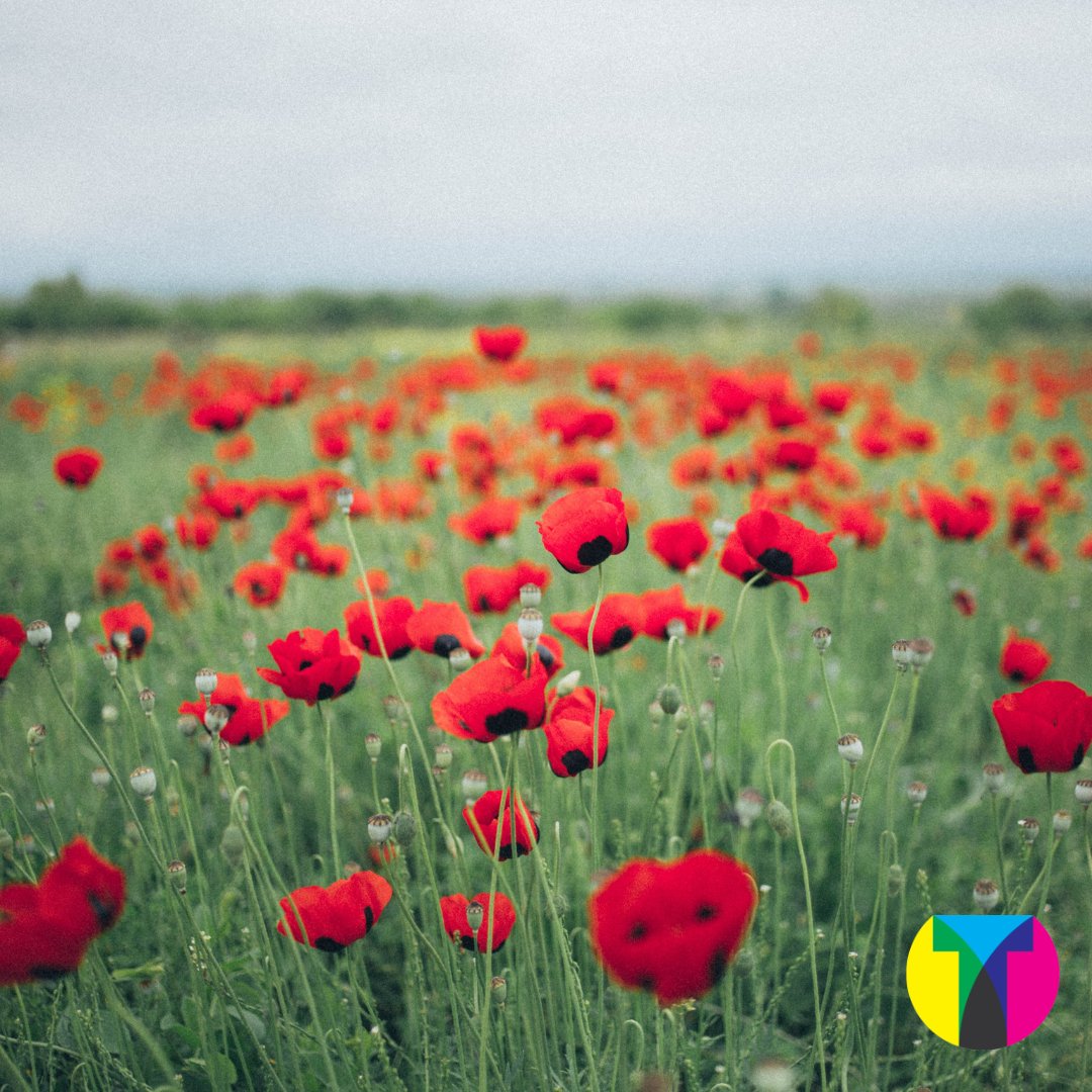 On this Remembrance Day, we take time to reflect and remember those that gave the ultimate sacrifice.

Lest we forget.

#remembranceday #lestweforget