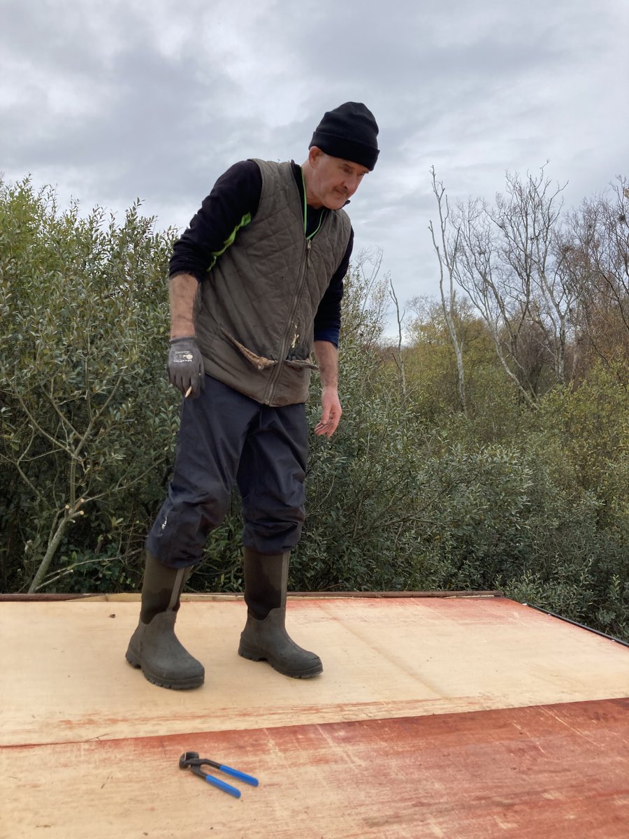 BirdWatchIE's tweet photo. Our East Coast Nature Reserve volunteers have been working on our Woodland Hide mending the roof. Brilliant work! It would not be possible without the @WatersProgramme #LAWPROfund. Next up replacing the stairs!⛅️🦆 https://t.co/jkyCgoUEoJ