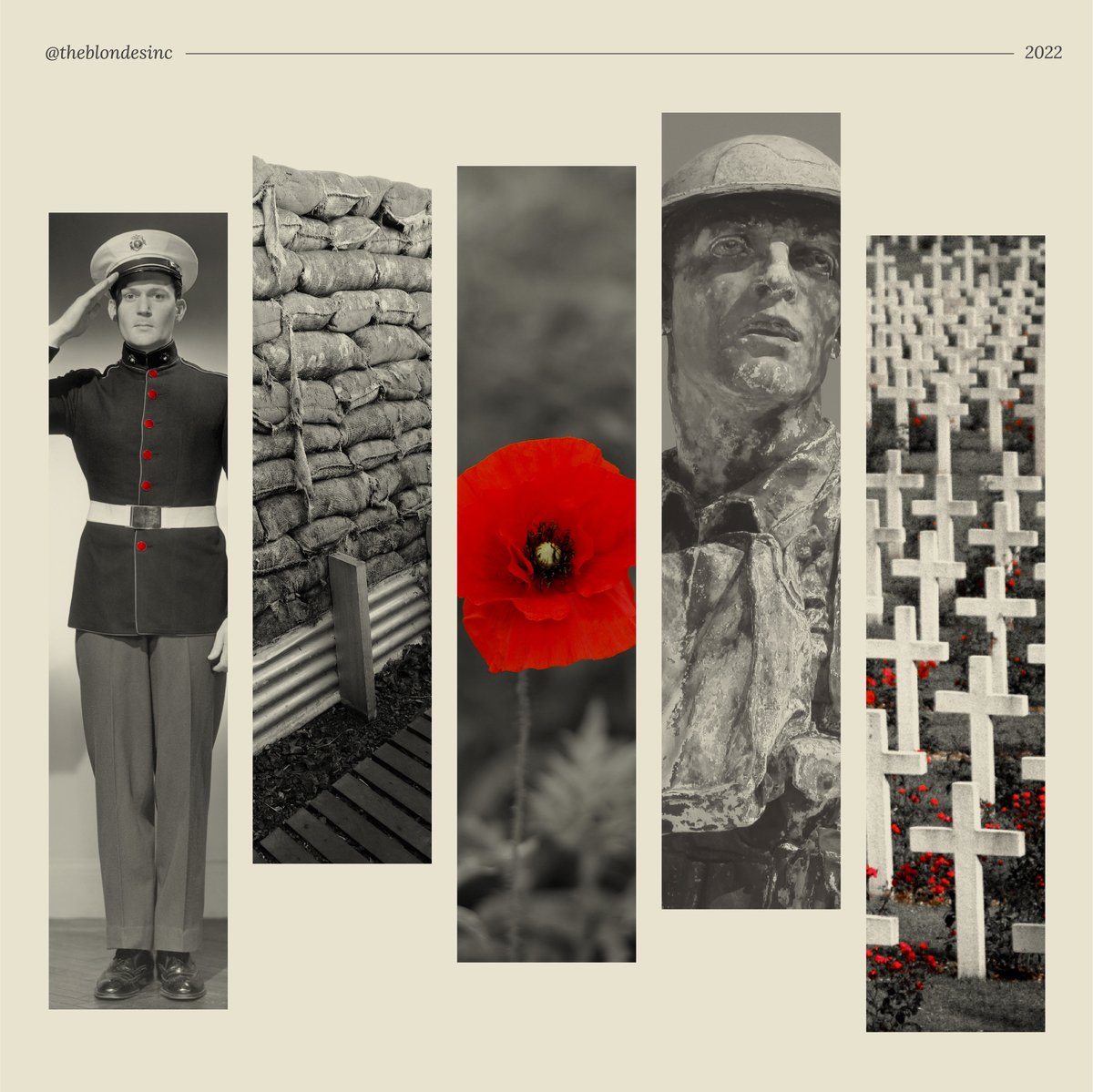 Lest We Forget. 

Remembering all the brave souls who made the ultimate sacrifice for our freedom.

#remembranceday #grateful #Blondes #branding #graphicdesign #waterloodesign #kitchenerdesign