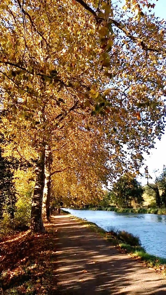 Après-midi bonheur ☀️🍂