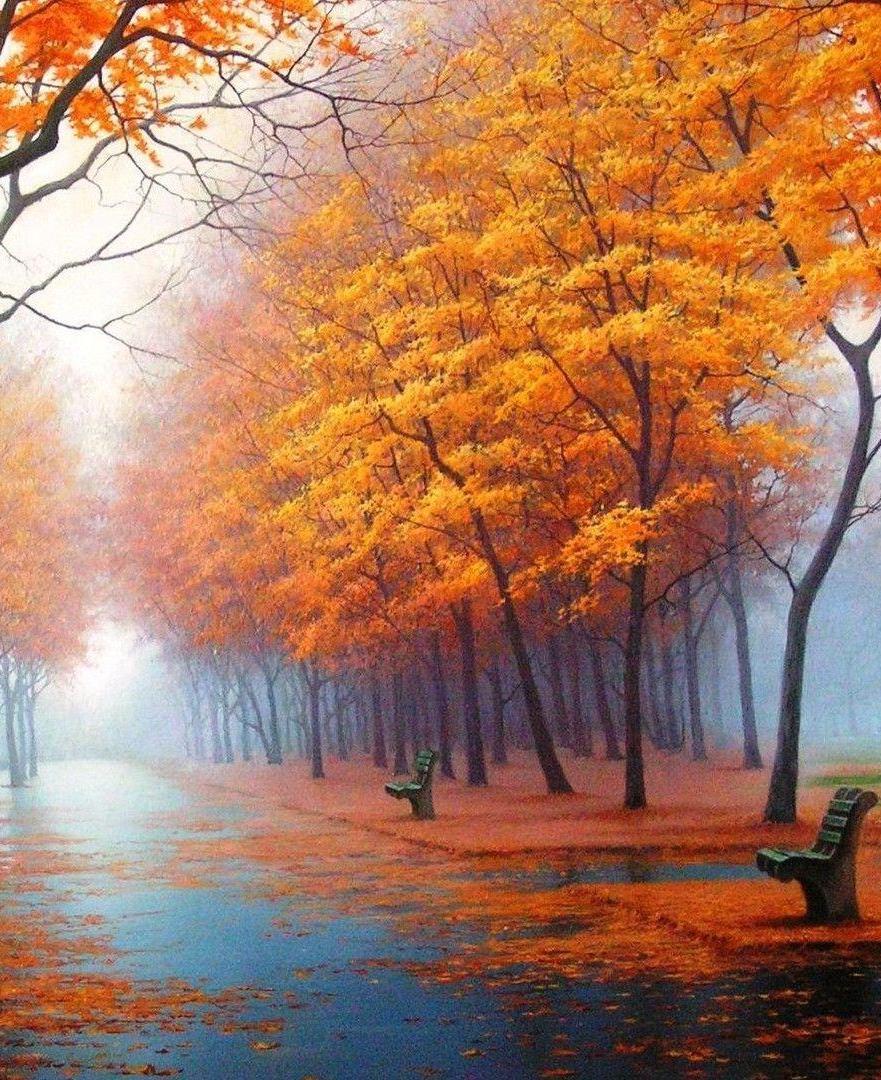 🍂🍁🍂