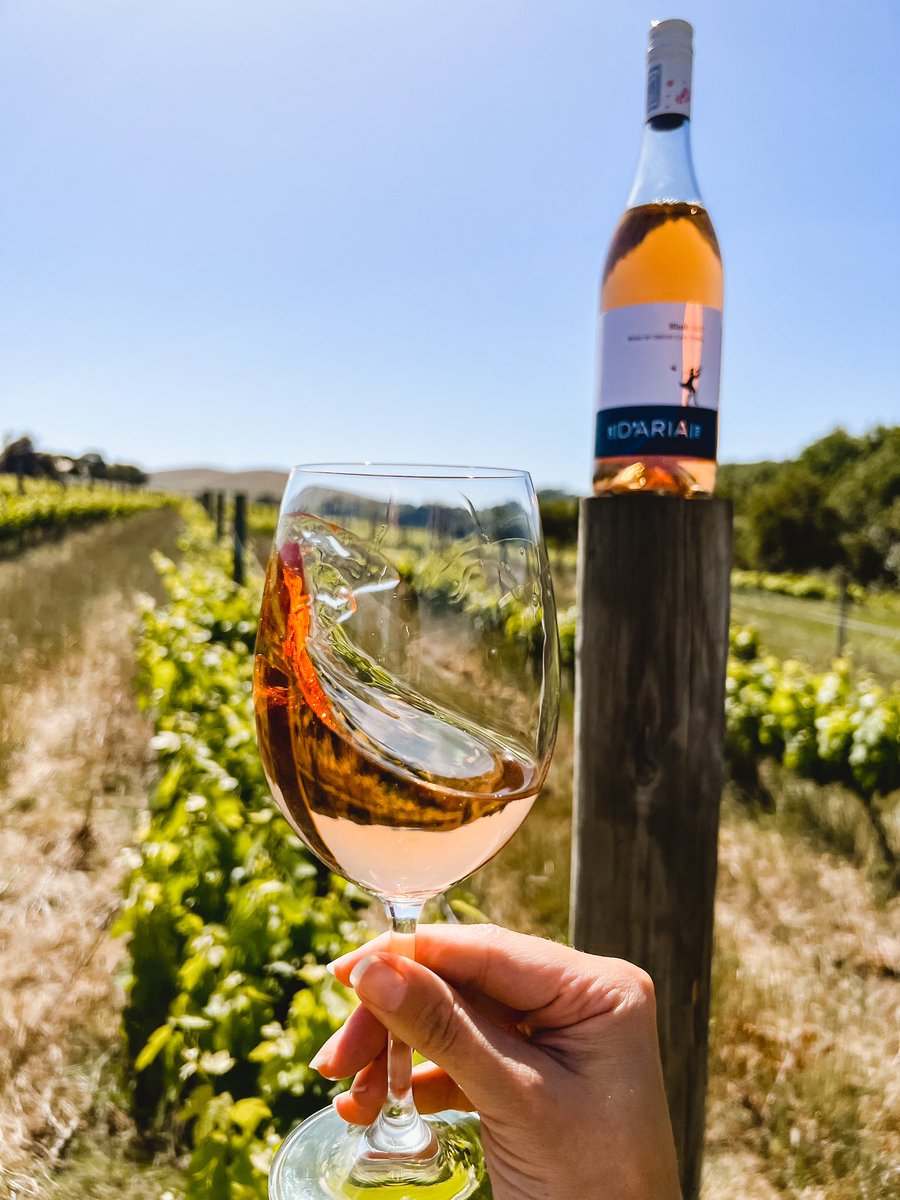D'Aria Winery tweet media