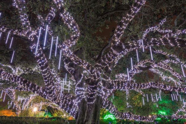 In one week, join us in the Botanical Garden for a Celebration sneak peek! Guests at the Celebration in the Oaks Preview Party will enjoy live entertainment, delicious dishes from <a href="/Ralphsonthepark/">Ralph's on the Park</a> &amp; <a href="/cafeNOMA/">Cafe NOMA</a>, a Celebration of Cocktails and more! 🎟: bit.ly/PreviewParties