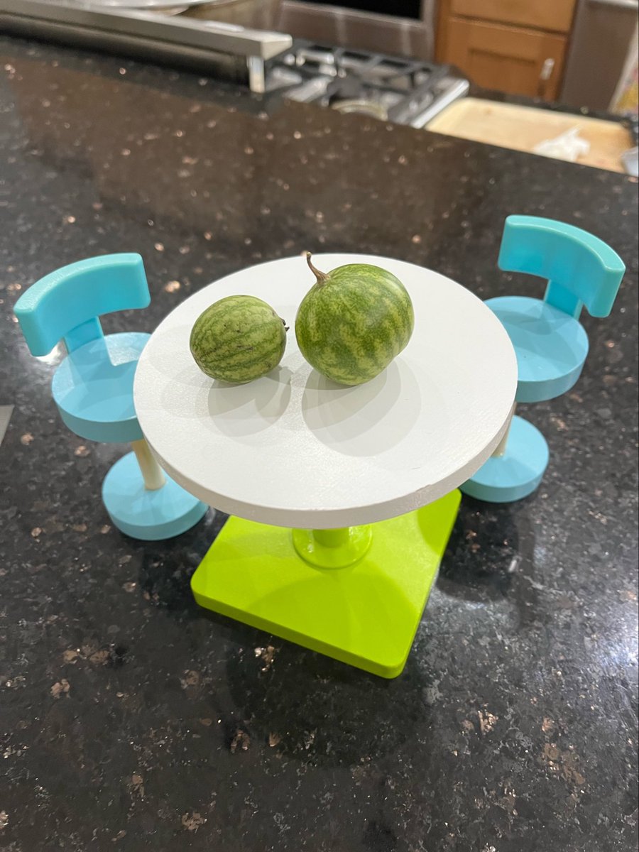 My dad grew the world’s tiniest watermelons and put them on my niece’s Barbie table