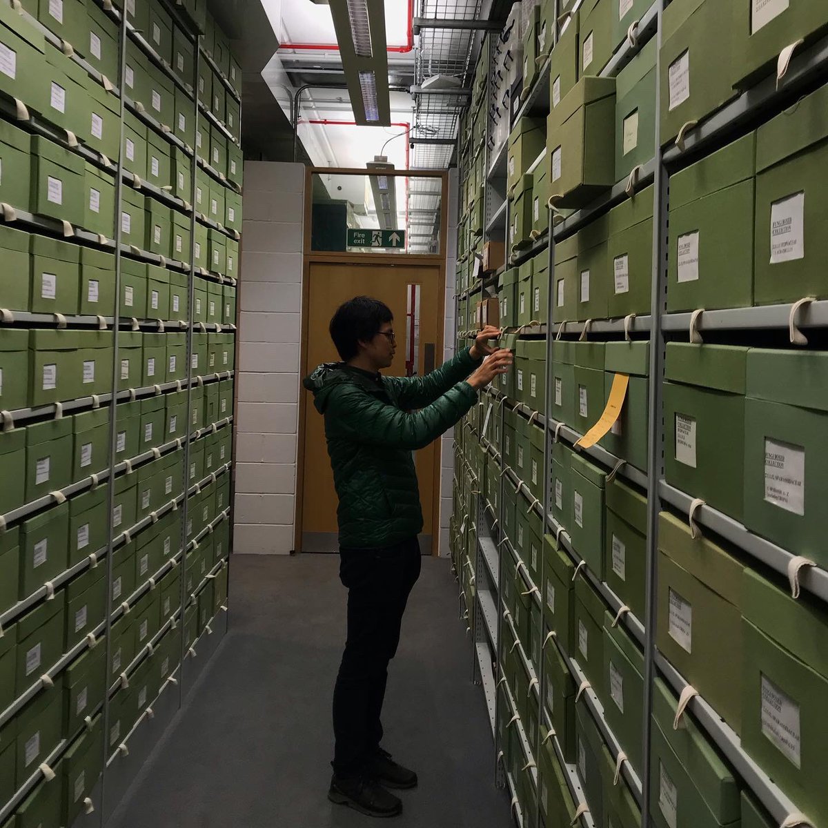 What a magical time in <a href="/kewgardens/">KewGardens</a> with @NielsDVV and @JamesScurryUK! We visited the Fungarium - world’s biggest fungi collection. 😍🍄