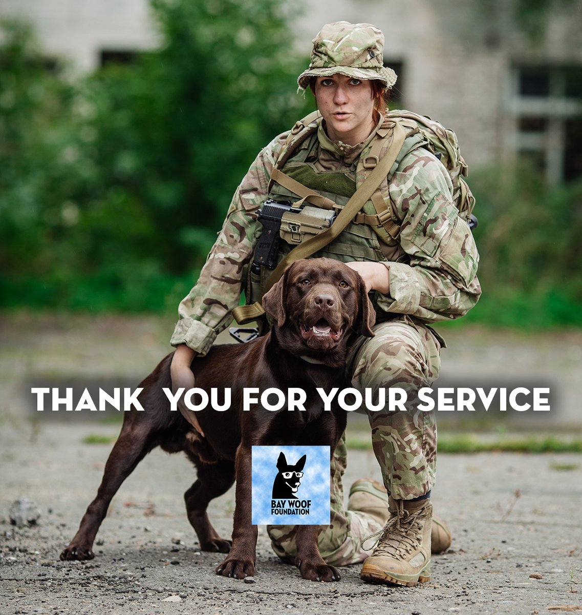 Bay Woof Foundation tweet media