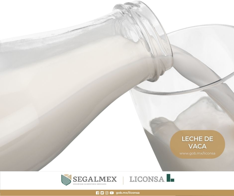 LecheBienestar's tweet photo. #Entérate | La #Leche🥛 tiene muchos beneficios para la salud, y estos son muy similares tanto para la #LecheUHT como para la pasteurizada. https://t.co/2U2PGFU3D8